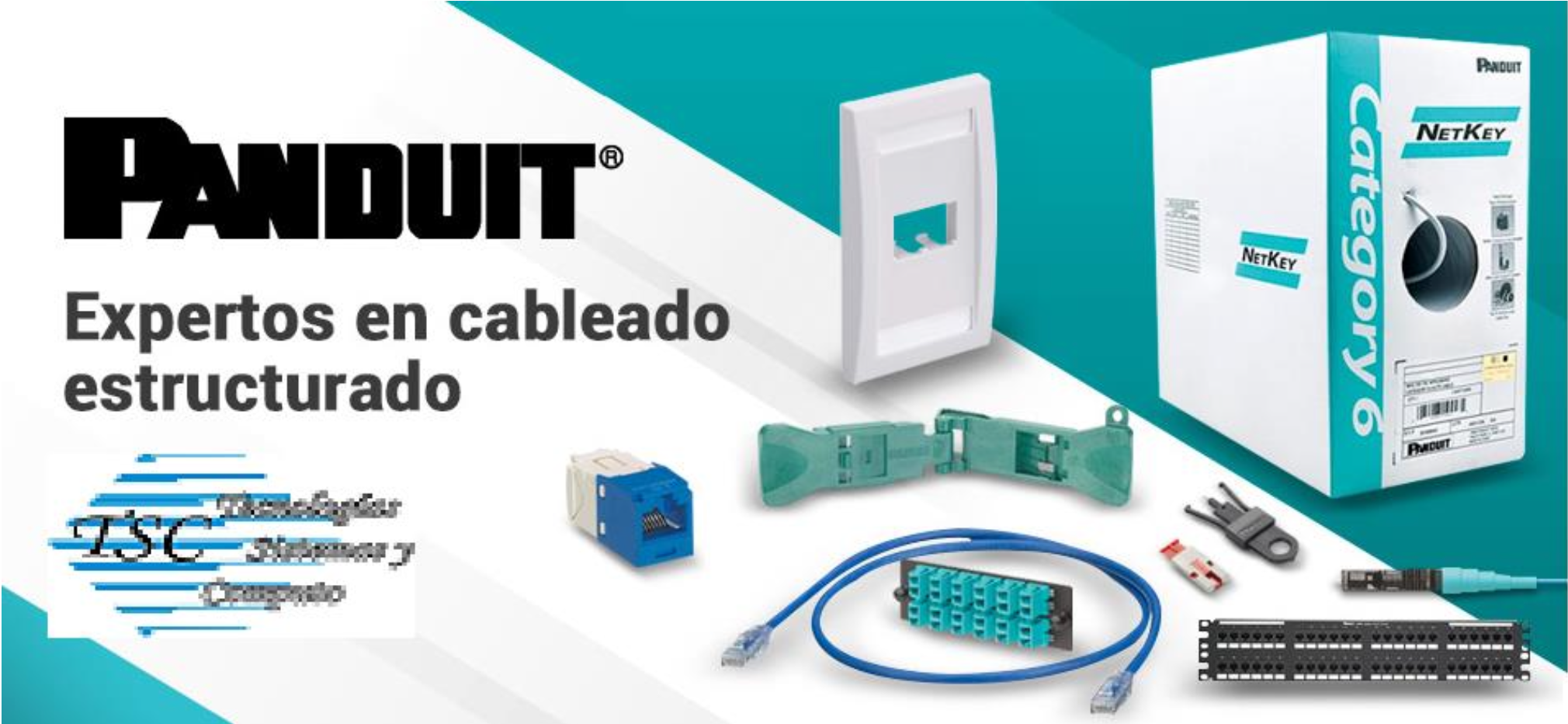 Captura de pantalla 2024-11-21 a la(s) 12.56.36 a.m.